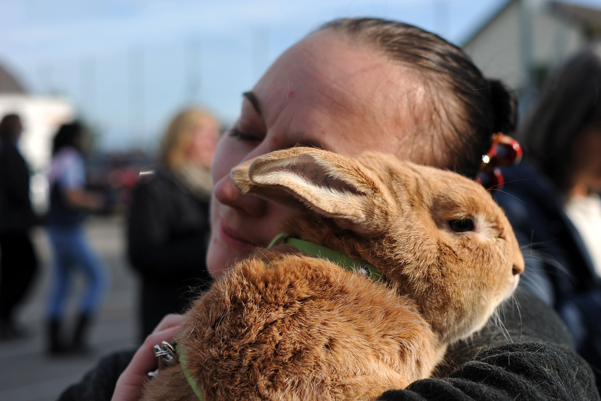 Girl gives Rabbit hug