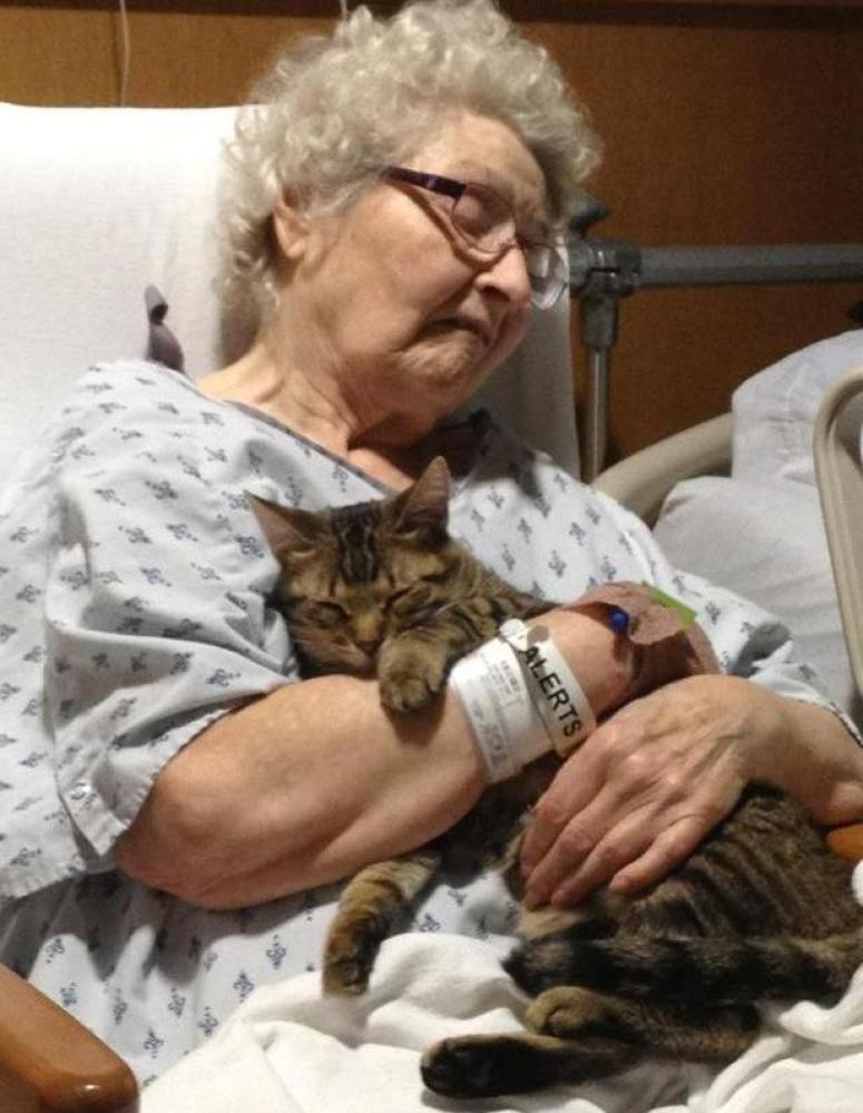 Elderly Woman Cat Hug 