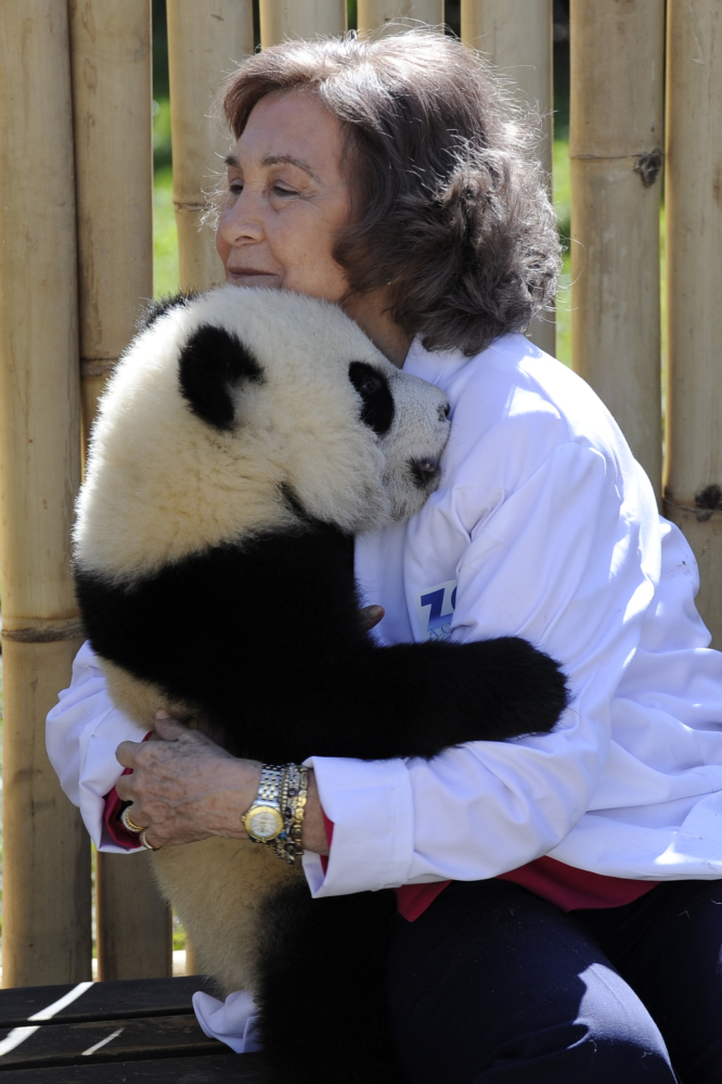Panda Bear Hug