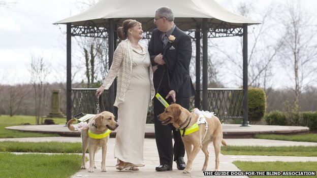 Couple Gets Married Because of Guide Dogs