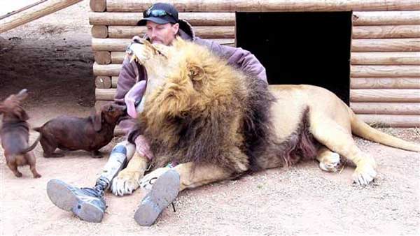 Lion and dog befriends human with one leg